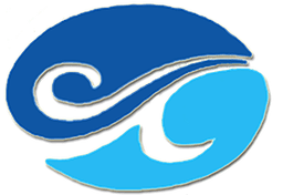 Aqua Vida Custom Pools